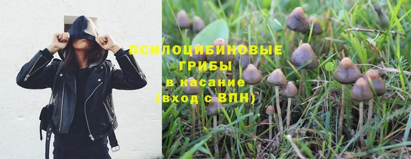 бошки Тихвин
